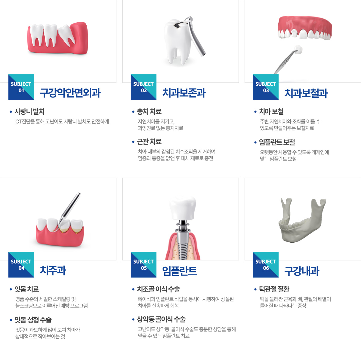 진료과목
